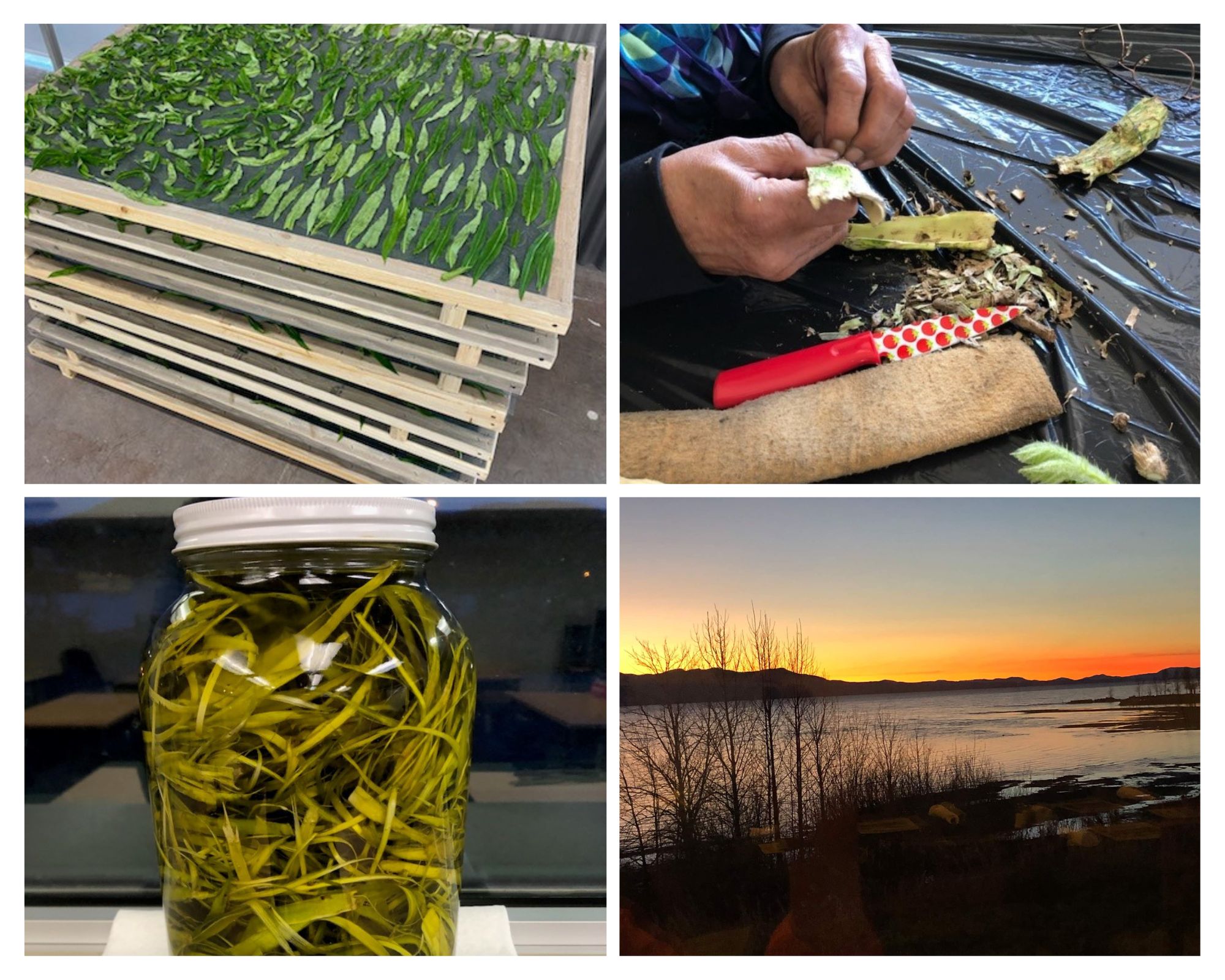 Land-based workshop photo collage